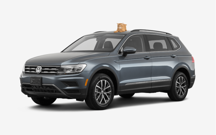black SUV volkswagen tiguan with a cat on top