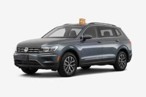 black SUV volkswagen tiguan with a cat on top