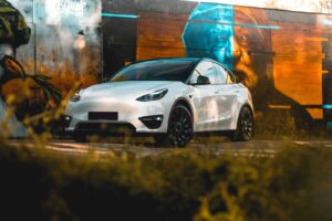 Tesla Model Y in nature