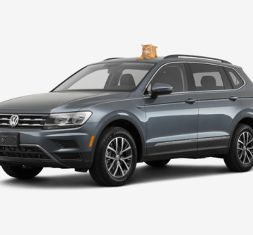 black SUV volkswagen tiguan with a cat on top