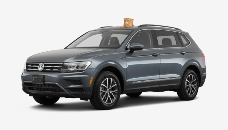 black SUV volkswagen tiguan with a cat on top