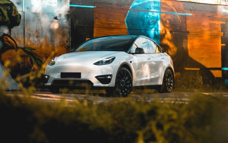 Tesla Model Y in nature